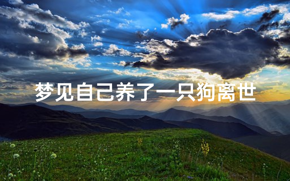 梦见自己养了一只狗离世、梦到自己养了一条狗死了