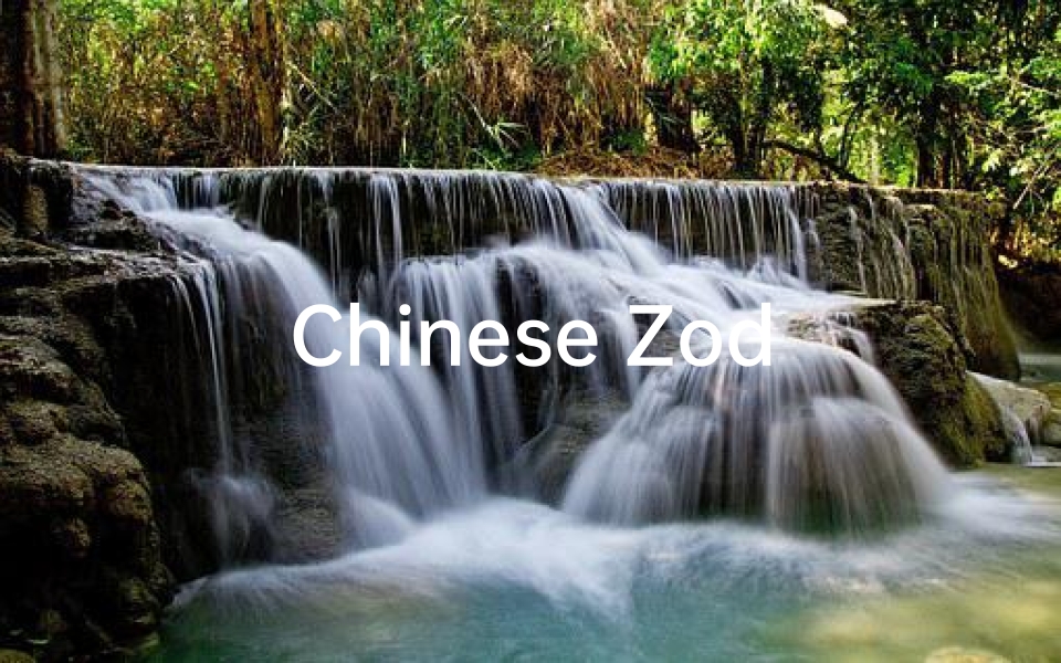 Chinese Zodiac Fortune Video, Understanding Your Yearly Horoscope in English