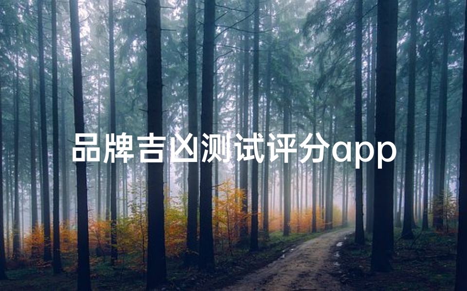 品牌吉凶测试评分app(车牌号码测吉凶最灵的)