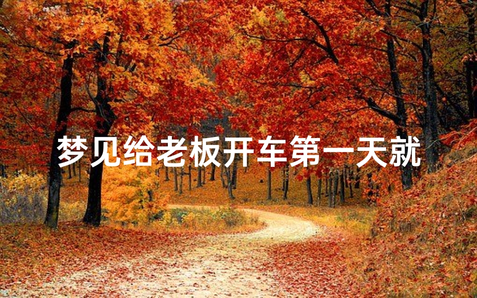 梦见给老板开车第一天就把车蹭了;梦见给老板娘开车