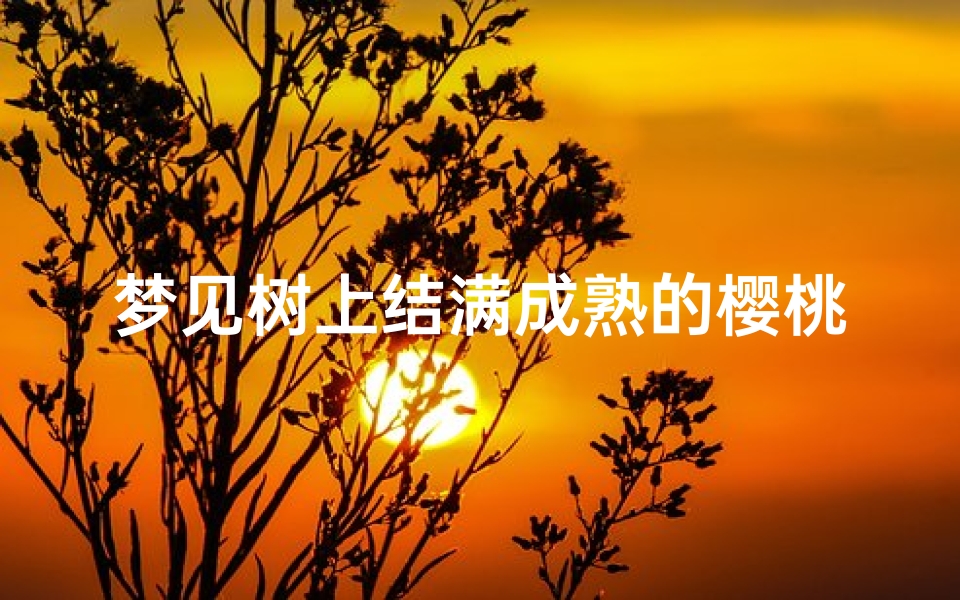 梦见树上结满成熟的樱桃什么意思,梦见树上结满了大樱桃