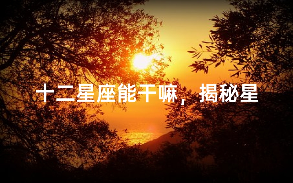 十二星座能干嘛,揭秘星座与个人特质的奇妙关联