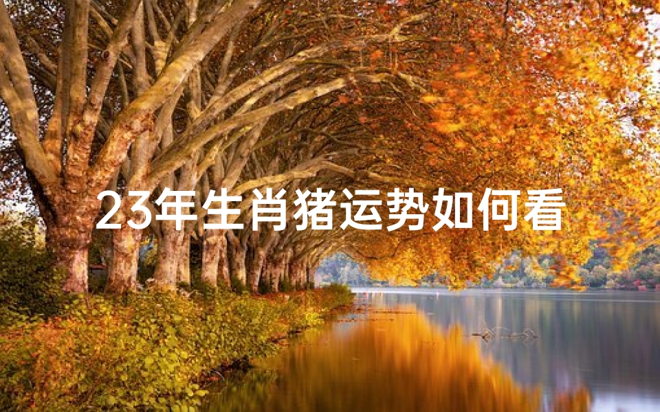 23年生肖猪运势如何看吉凶—2023年生肖猪运势解析:运势如何?