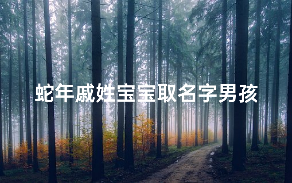 蛇年戚姓宝宝取名字男孩