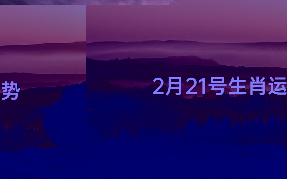 2月21号生肖运势