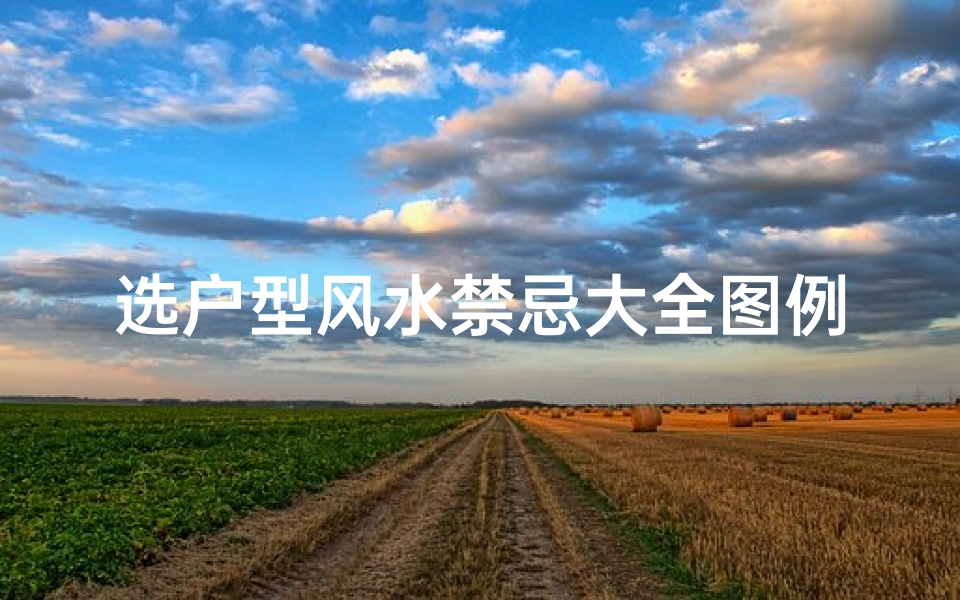 选户型风水禁忌大全图例(阳宅三要详解)