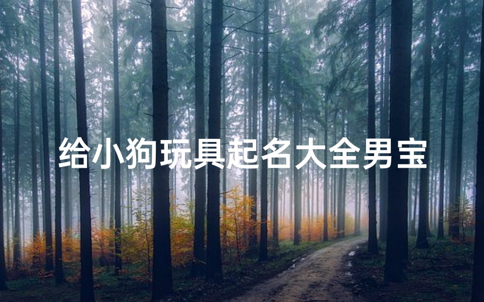给小狗玩具起名大全男宝宝(给玩具熊起名字)
