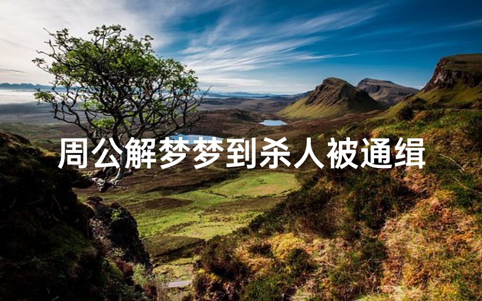 周公解梦梦到杀人被通缉的简单介绍(梦到杀人被通缉·是什么意思 )