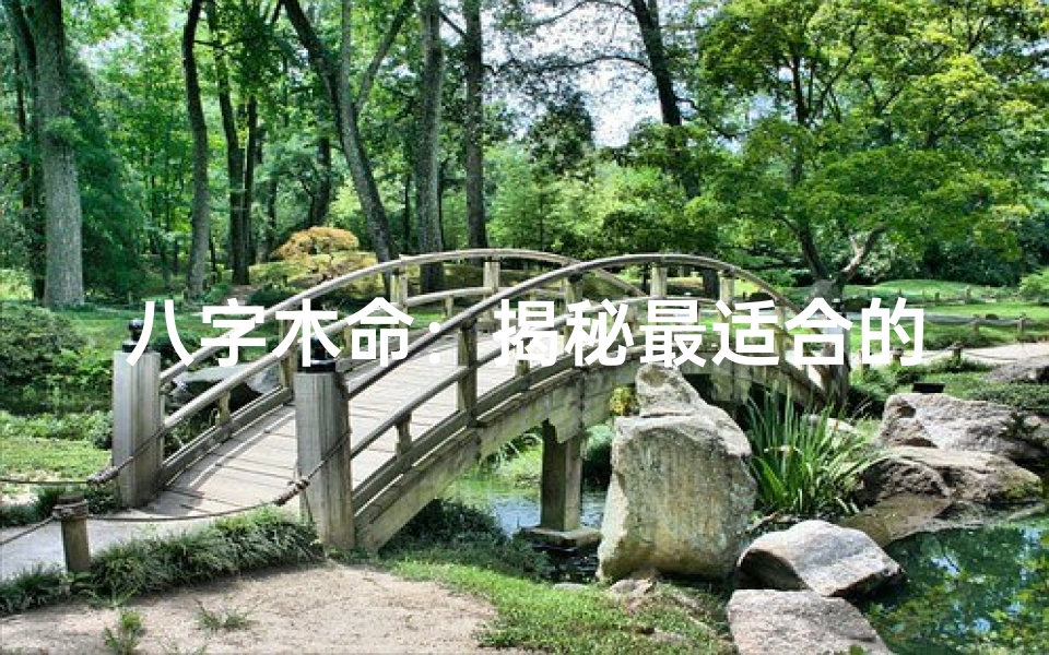 八字木命:揭秘最适合的行业选择