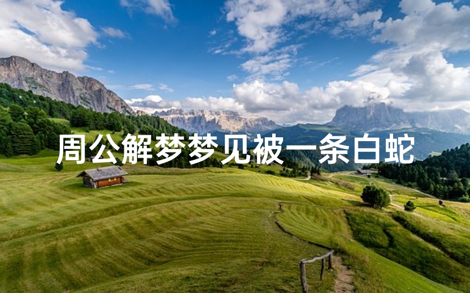 周公解梦梦见被一条白蛇咬(梦见白蛇咬我是什么意思 )