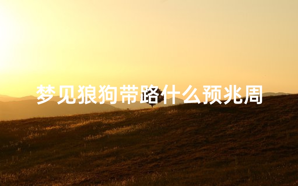 梦见狼狗带路什么预兆周公解梦、梦见狼狗到家里什么意思