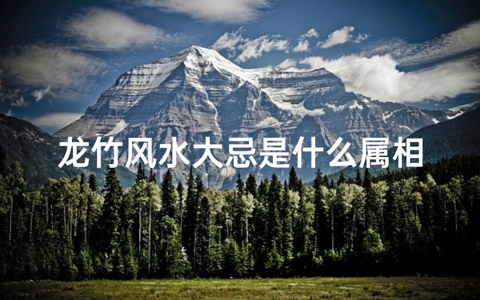 龙竹风水大忌是什么属相(龙竹养几根风水好龙竹摆放家里哪个位置)