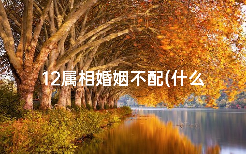 12属相婚姻不配(什么属相的夫妻最不配)