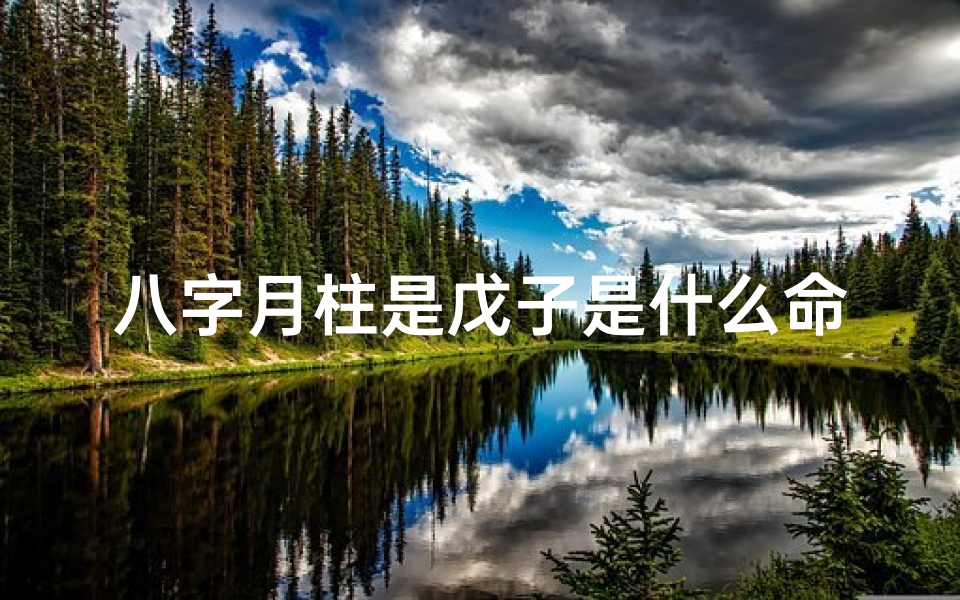 八字月柱是戊子是什么命,八字月柱戊子命格揭秘