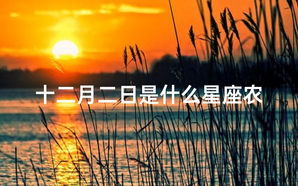 十二月二日是什么星座农历(2025年12月2日是什么星座呀)