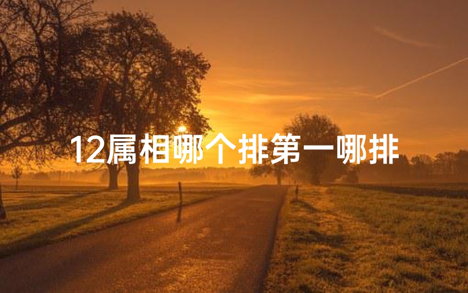 12属相哪个排第一哪排第二(属相排行榜 12属相排行 )