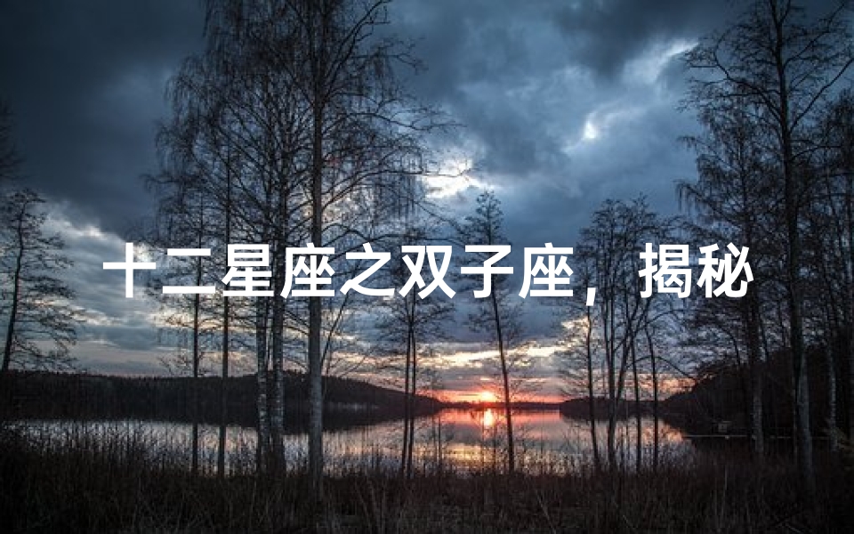 十二星座之双子座，揭秘双重性格的魅力与挑战