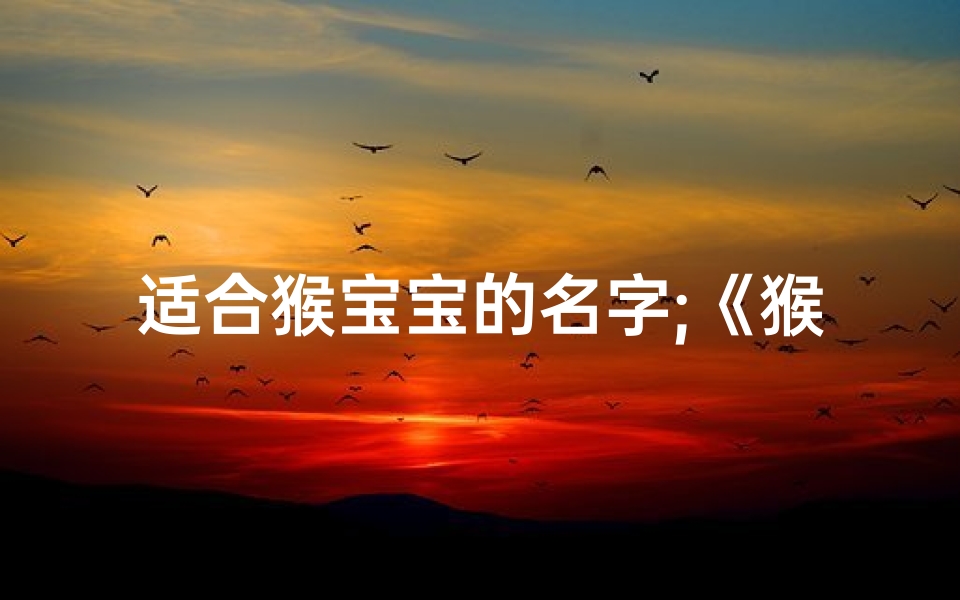 适合猴宝宝的名字;《猴宝宝带娃记：萌娃猴爸温馨日常》