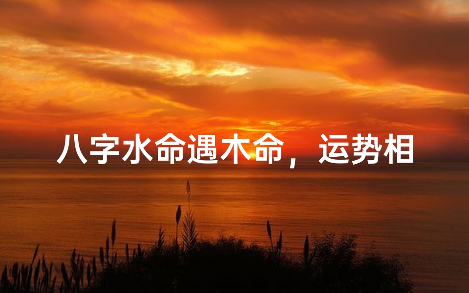 八字水命遇木命,运势相生相得益彰