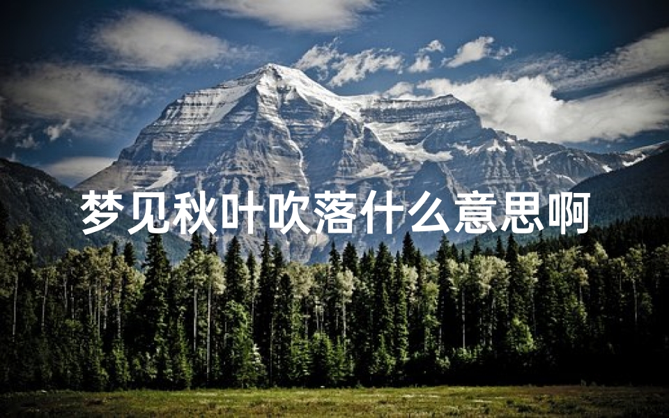 梦见秋叶吹落什么意思啊-梦见秋天落叶被风吹