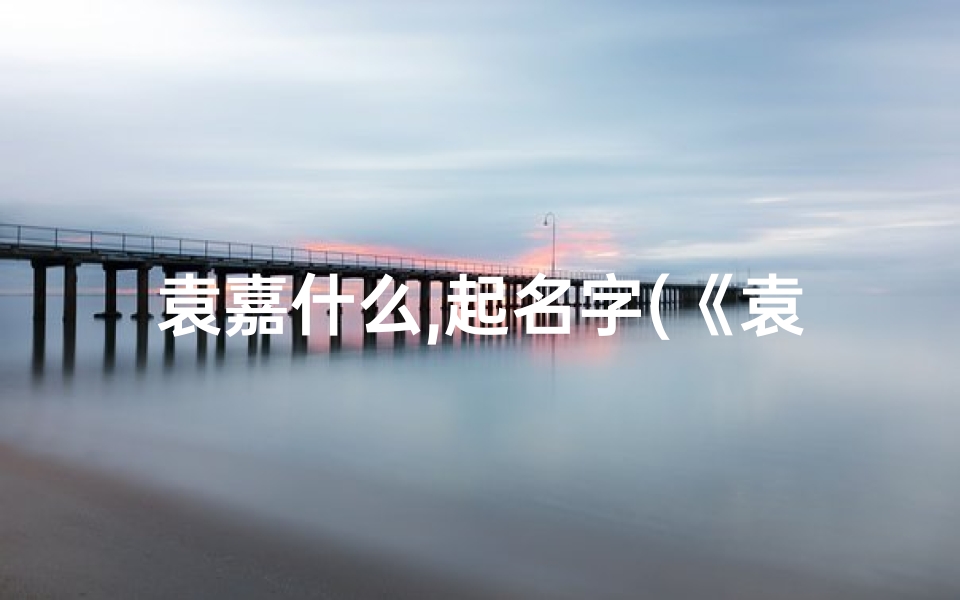 袁嘉什么,起名字(《袁嘉童趣:宝宝名字中的诗意与美好》)
