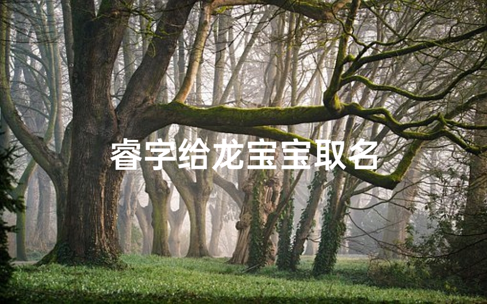睿字给龙宝宝取名