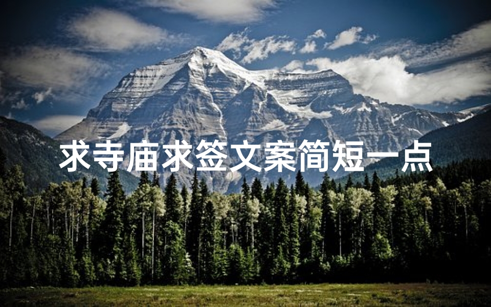 求寺庙求签文案简短一点(名字开头的成语有哪些)