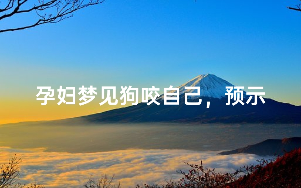 孕妇梦见狗咬自己,预示着什么?解读梦境背后的深层含义