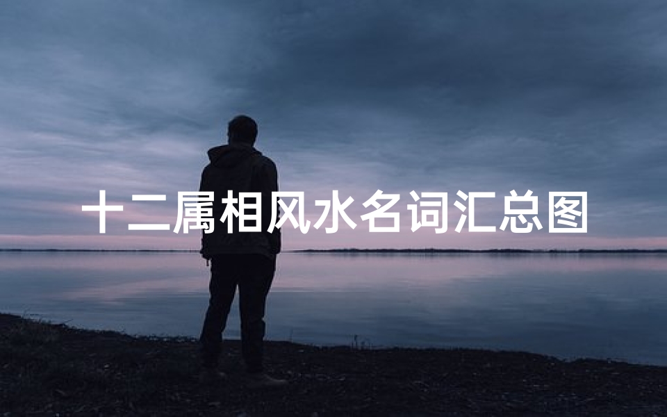 十二属相风水名词汇总图(生肖相刑是什么意思,有什么说法)