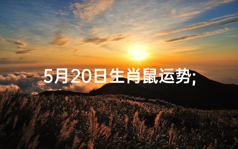 5月20日生肖鼠运势;5月份生肖鼠运势