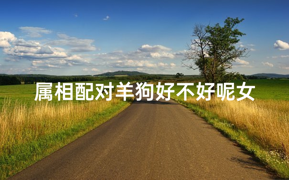 属相配对羊狗好不好呢女孩(为什么属相羊和狗配对的不好 )