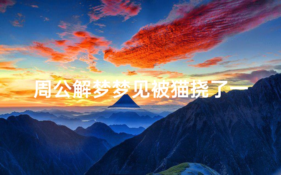 周公解梦梦见被猫挠了一下手指(梦见被猫抓手是什么意思 )