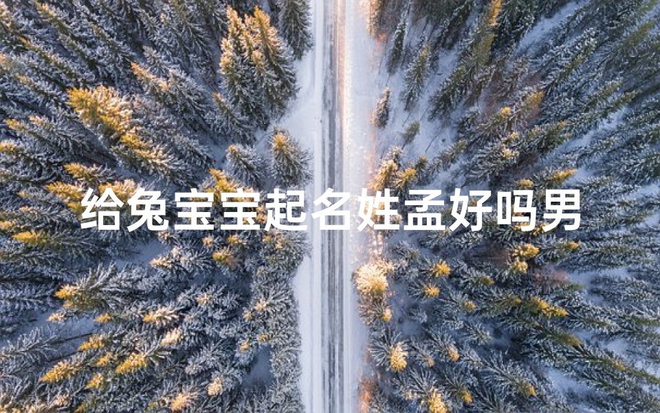 给兔宝宝起名姓孟好吗男孩(水命兔宝宝取名孟天硕好吗 )
