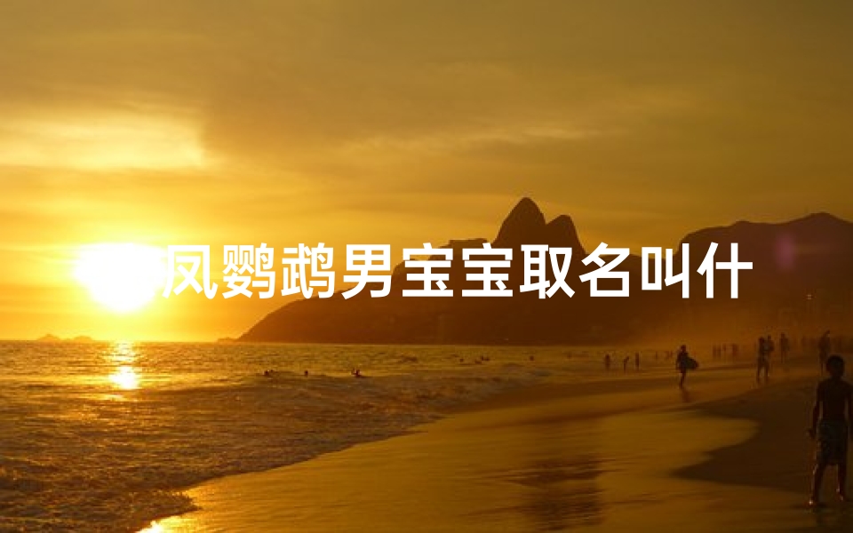 玄凤鹦鹉男宝宝取名叫什么-玄凤鹦鹉宝宝萌动:小鹦鹉取名大挑战