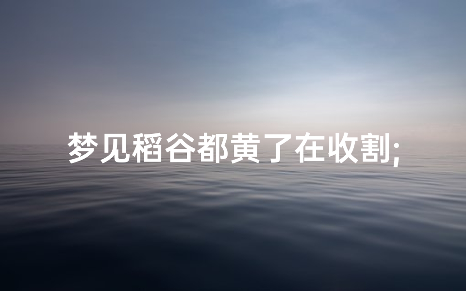 梦见稻谷都黄了在收割;梦见稻谷黄了是什么意思