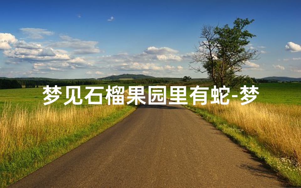 梦见石榴果园里有蛇-梦见石榴树上有一个石榴