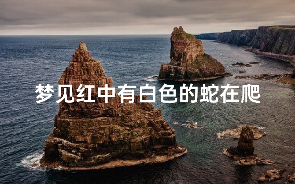 梦见红中有白色的蛇在爬(梦见白红蛇是什么意思)