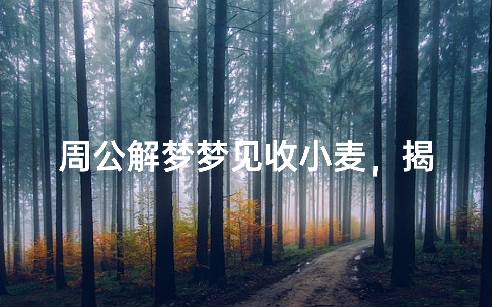 周公解梦梦见收小麦,揭示丰收与机遇的象征