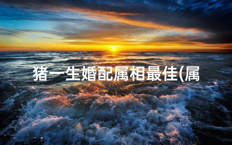 猪一生婚配属相最佳(属猪最佳婚配前十名属相)