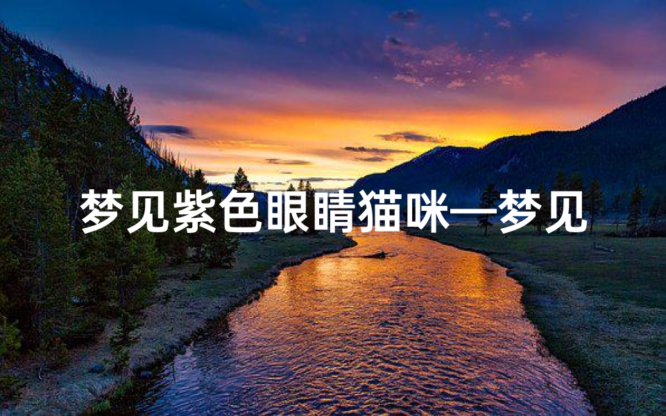 梦见紫色眼睛猫咪—梦见黑色的猫眼睛是红的