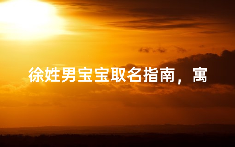 徐姓男宝宝取名指南,寓意美好与传承