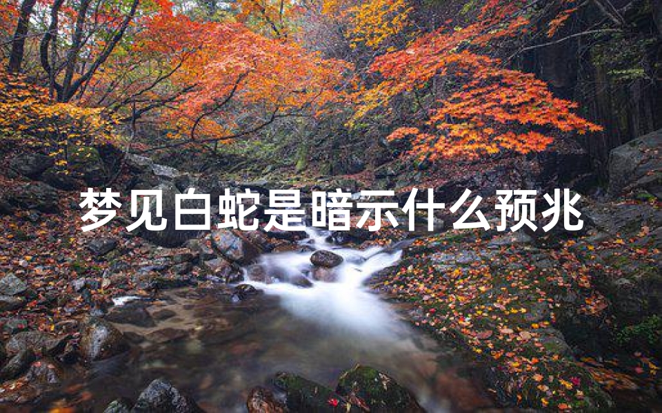 梦见白蛇是暗示什么预兆(梦见白蛇是暗示什么预兆女性)