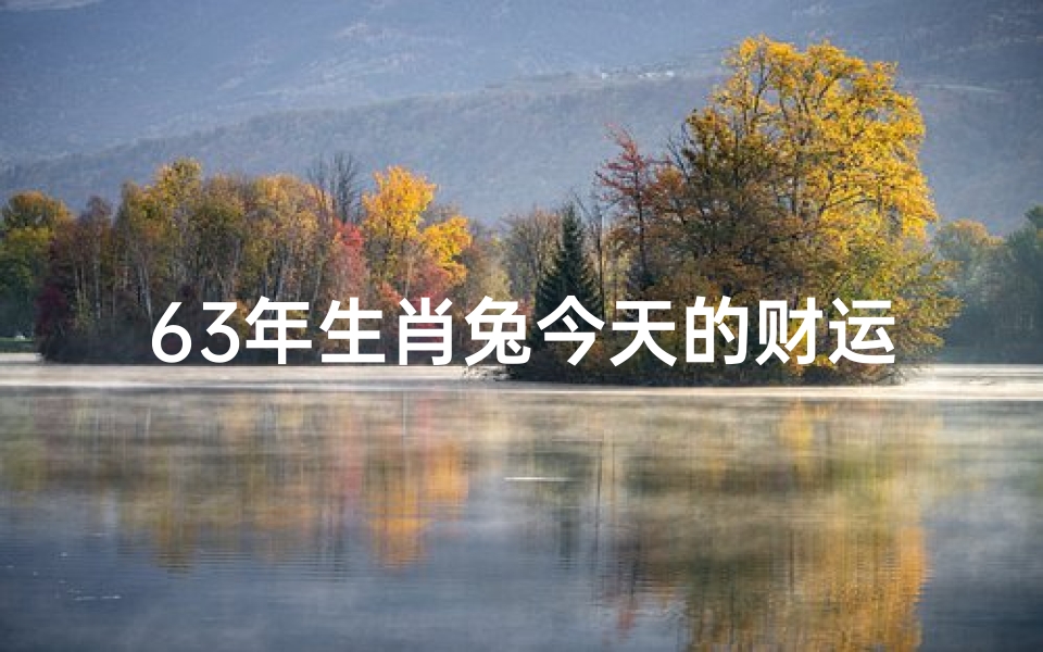 63年生肖兔今天的财运如何-属兔人63年今日运势揭秘:好运连连,福星高照
