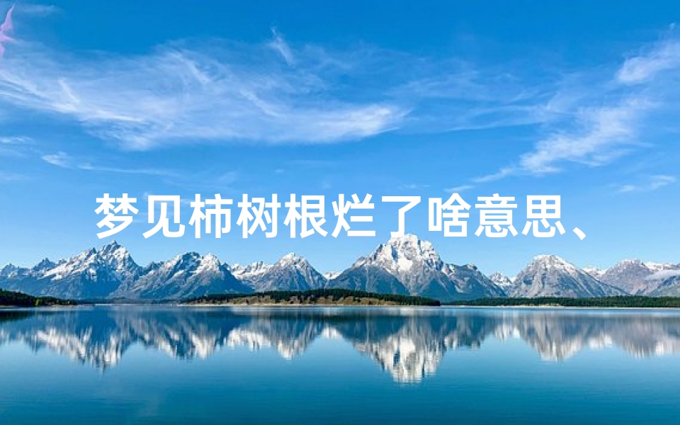 梦见柿树根烂了啥意思、梦见柿子树断了好不好
