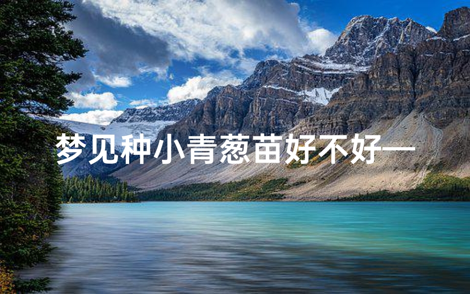 梦见种小青葱苗好不好—梦到种小葱苗