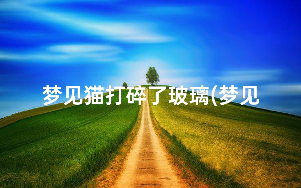 梦见猫打碎了玻璃(梦见猫破窗而入攻击我)