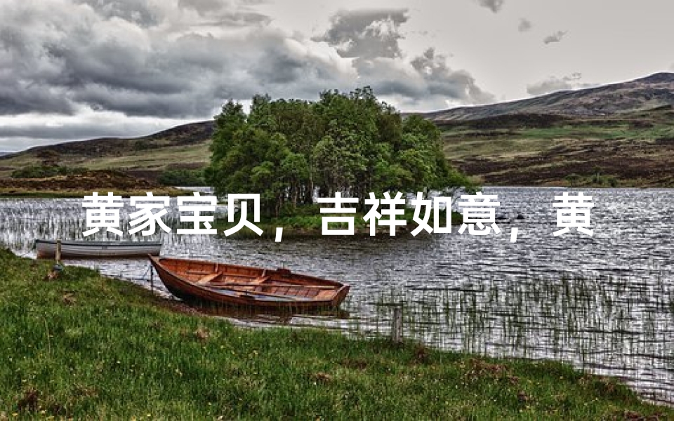 黄家宝贝,吉祥如意,黄姓男孩四字好名推荐