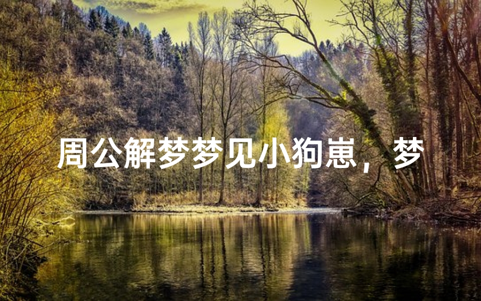 周公解梦梦见小狗崽,梦境解析与心理暗示