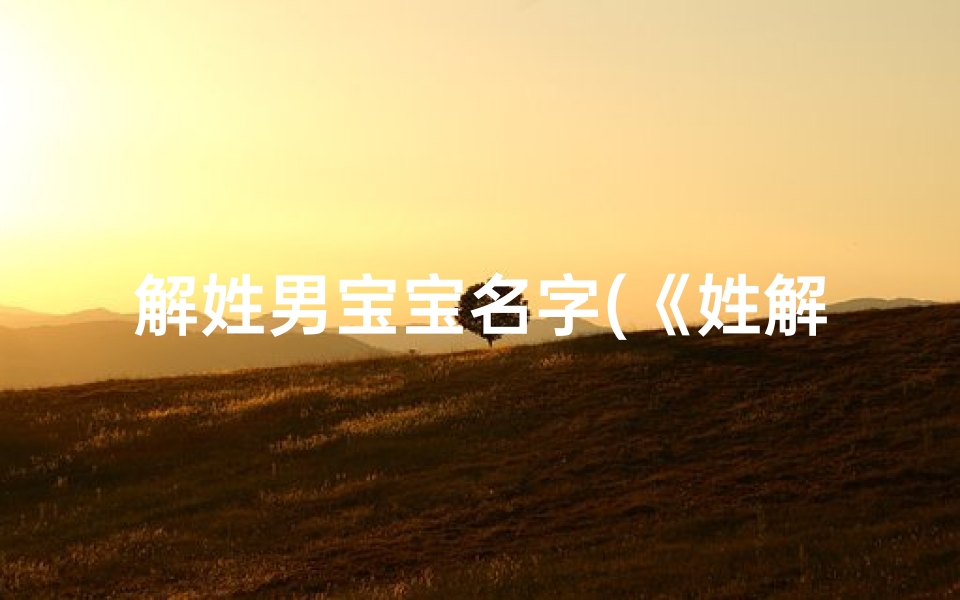 解姓男宝宝名字(《姓解兔宝宝取名大全:创意美名汇聚一堂》)