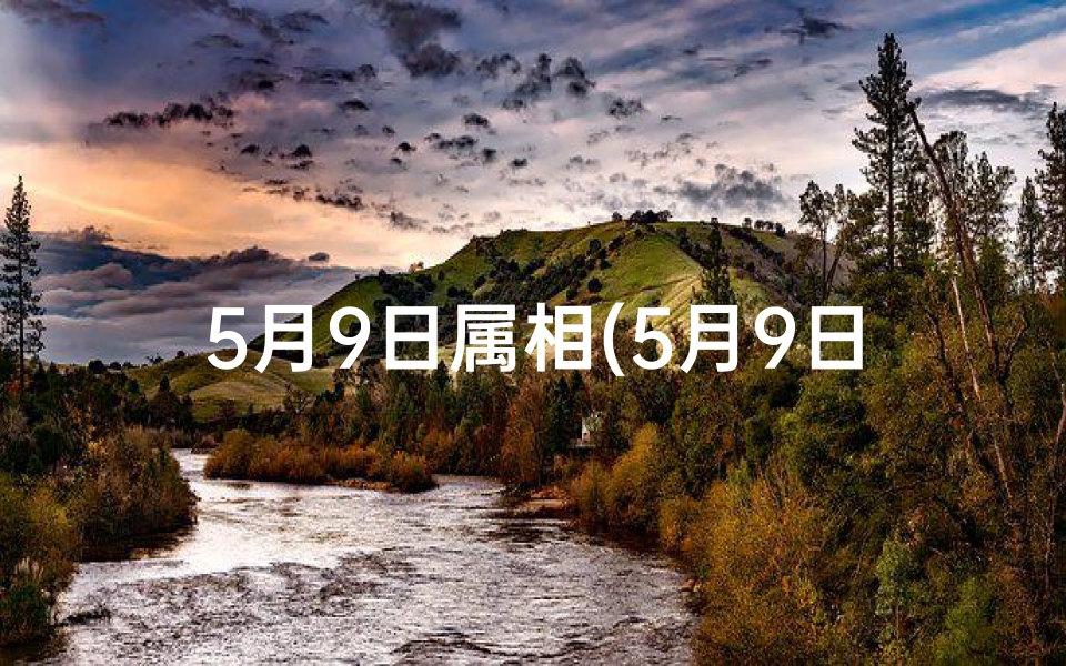 5月9日属相(5月9日生肖运势:揭秘今日运势排行榜)